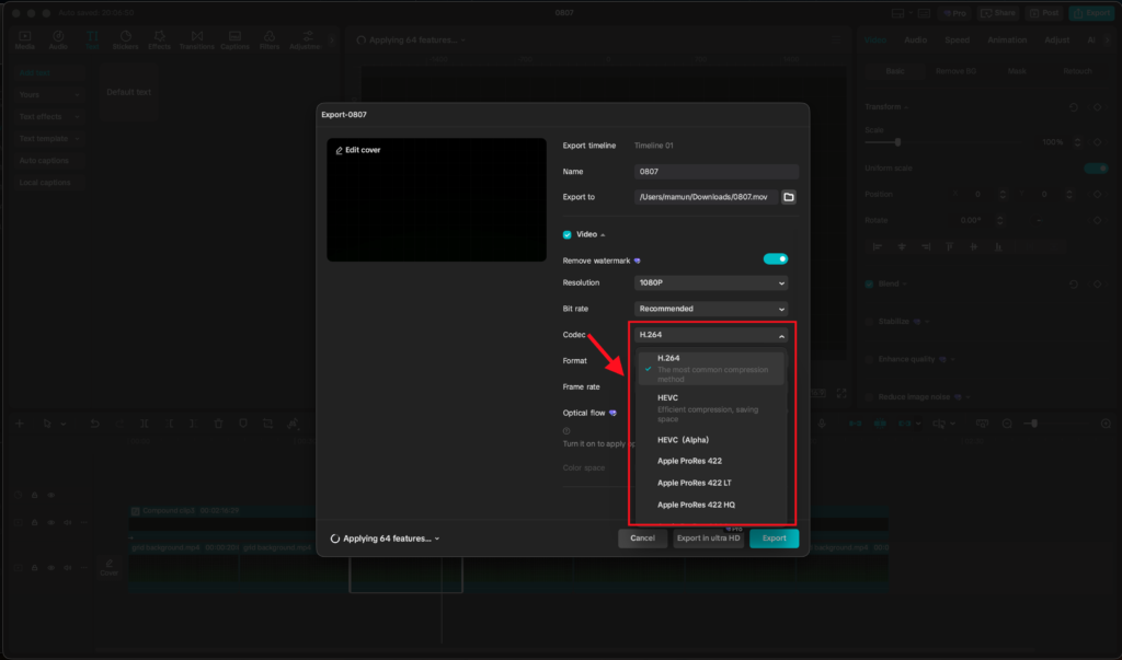 capcut codec setting